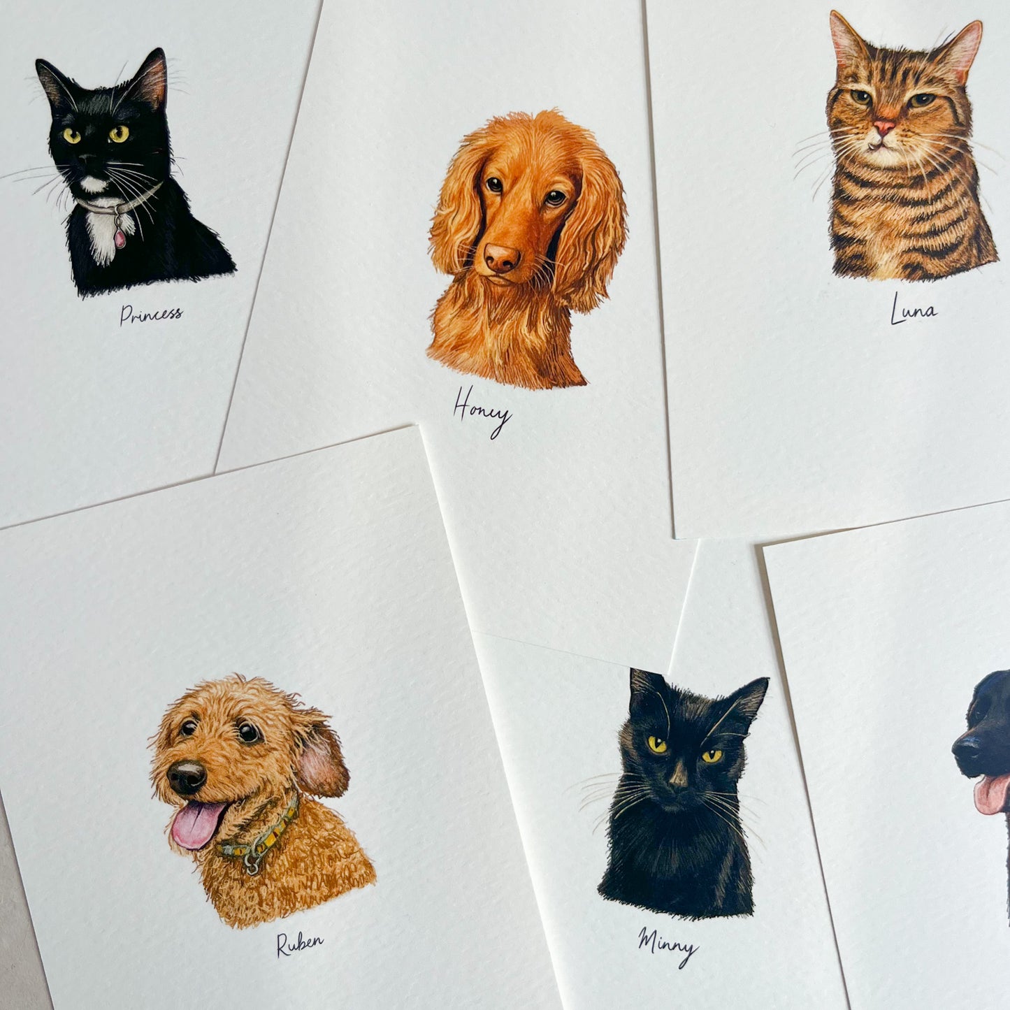 Mini Pet Portrait doodle print