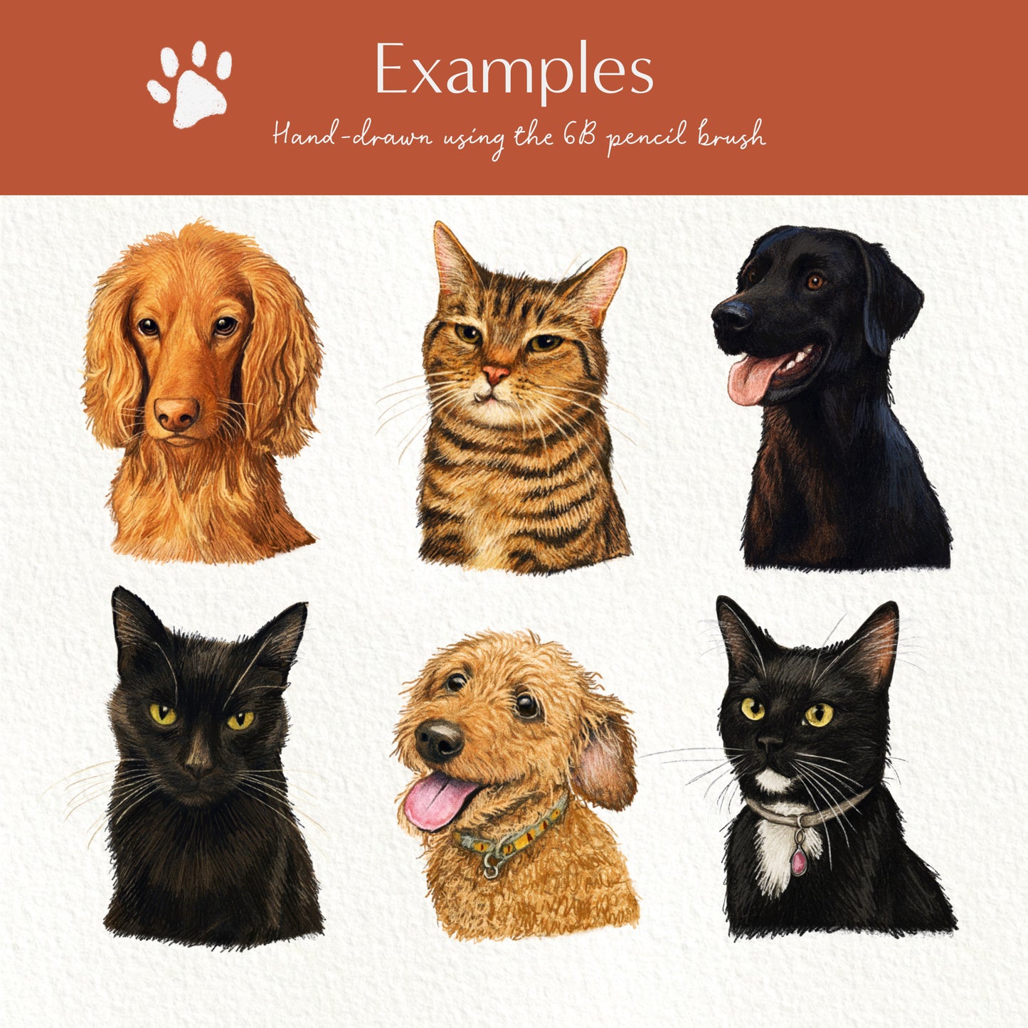 Mini Pet Portrait doodle print