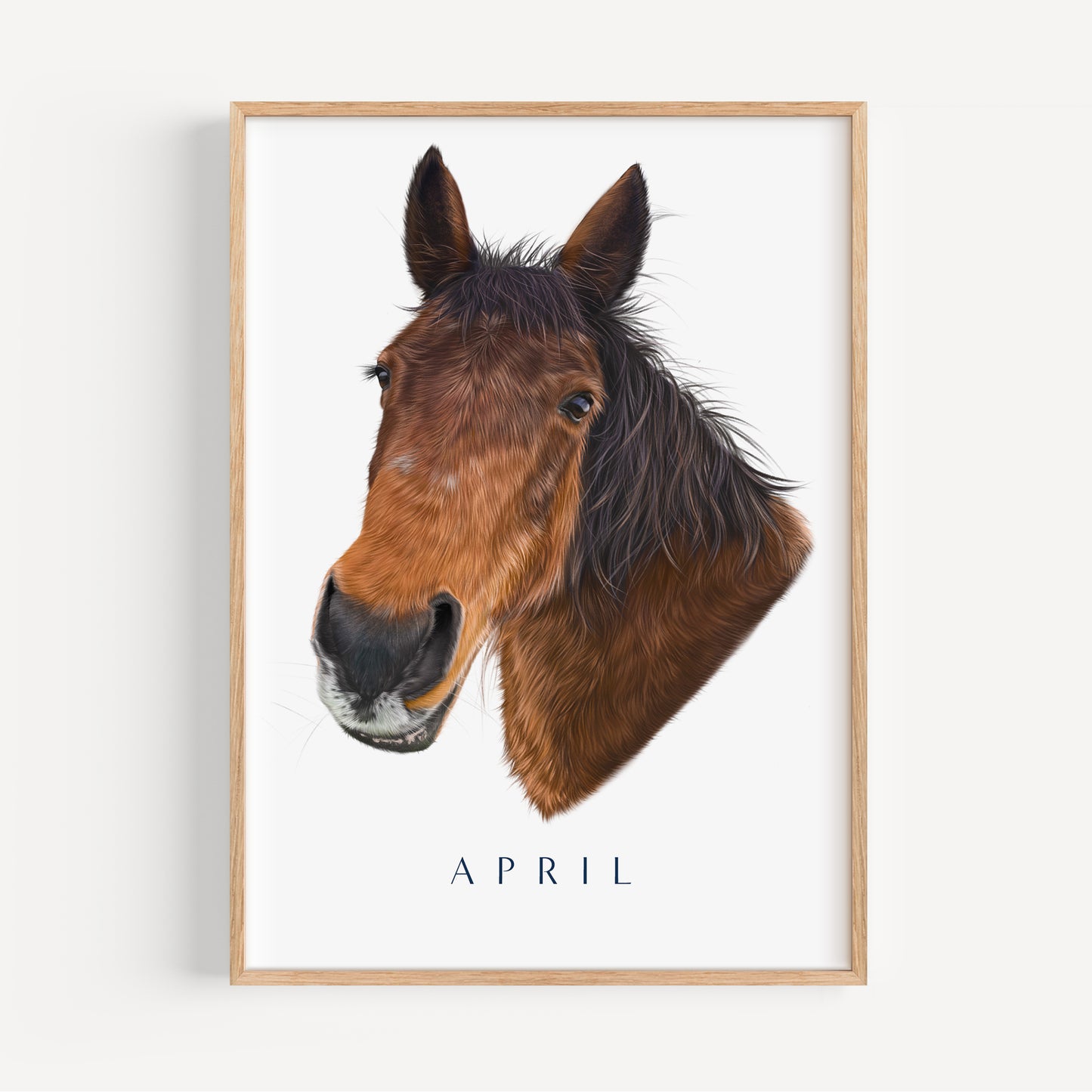 Single Pet Portrait