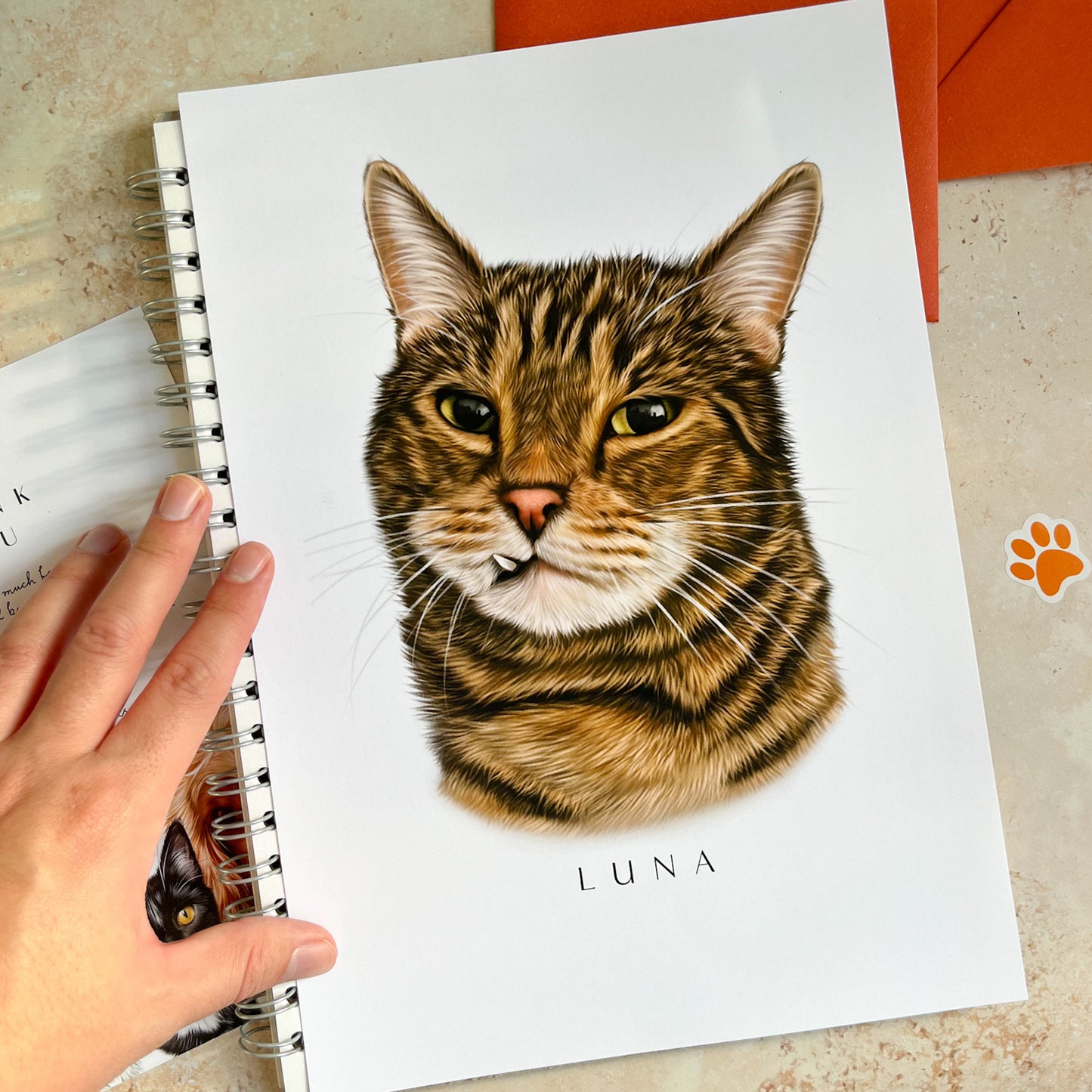 Hand Drawn Single Pet Portrait