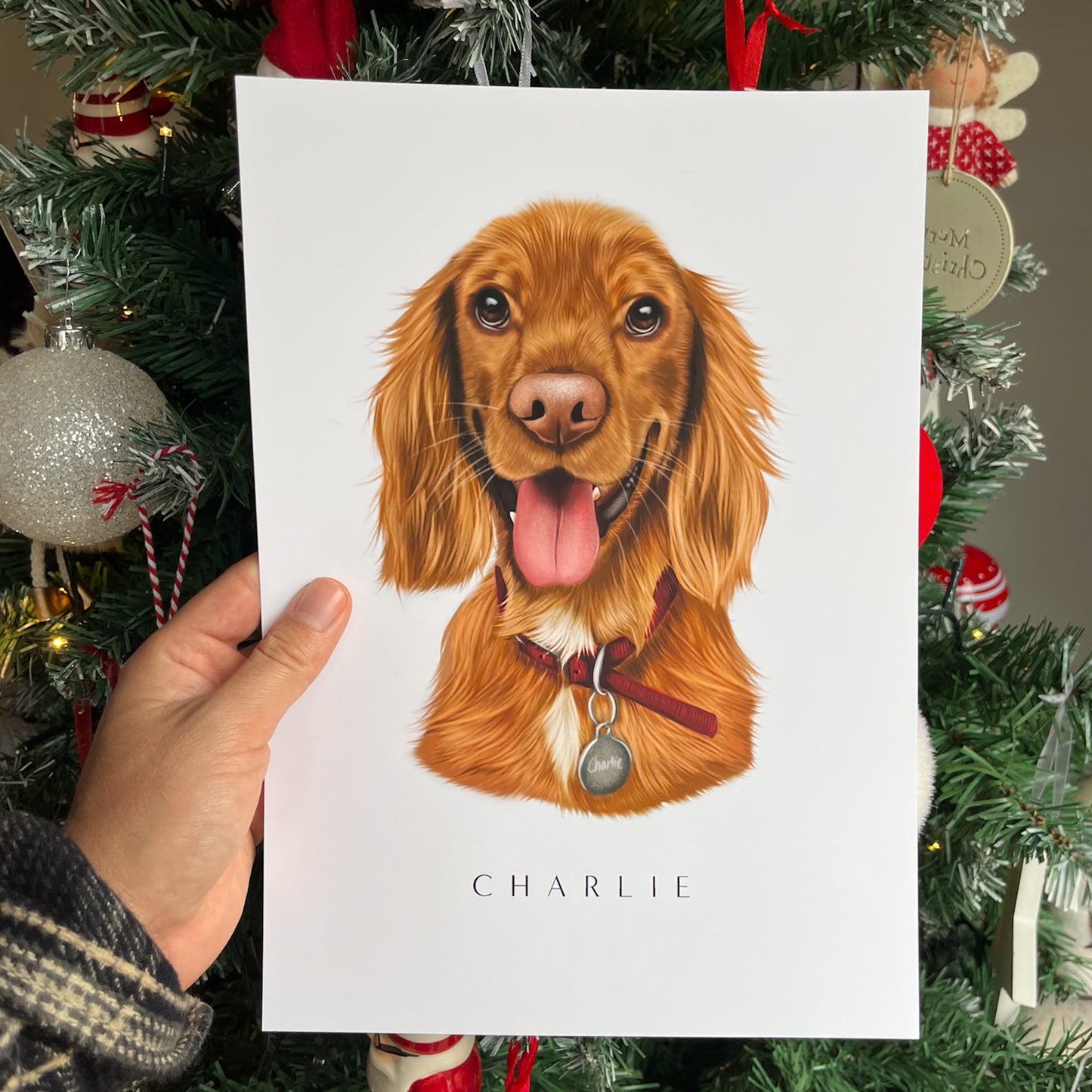 Hand Drawn Single Pet Portrait